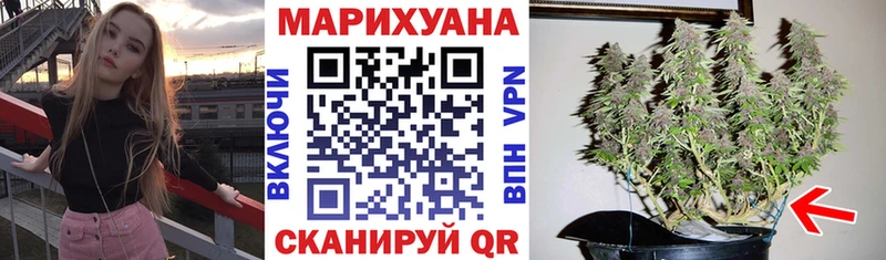 Купить наркотик аптеки Солнечногорск Конопля мега ТОР ГАШИШ COCAIN