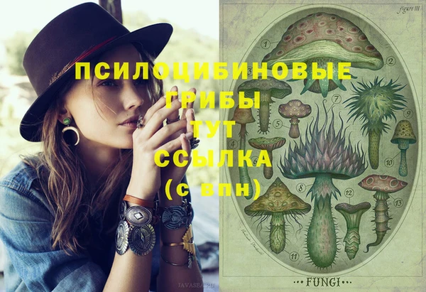 стафф Армянск