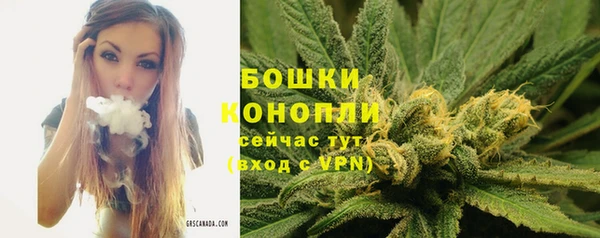 первитин Арсеньев