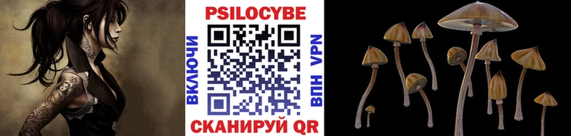 Галлюциногенные грибы мухоморы Солнечногорск